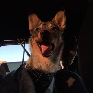 Meet your Posher, Mark